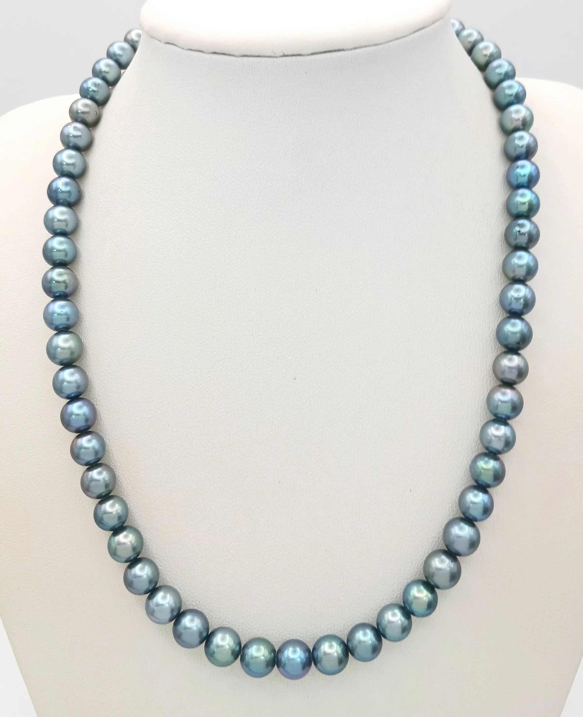 A classic single strand Teal Blue Freshwater Pearl Necklace. Approx 43cm in length, strung with teal blue freshwater pearls and fitted with a decorative silver floral box clasp. Please see photos for details.